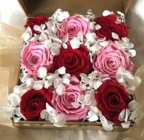 9 Roses in Gold Box, $95 9 Roses in Gold Box