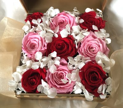 9 Pink & Red Roses