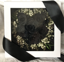 6 Roses in White Box, $75 6 Roses in White Box